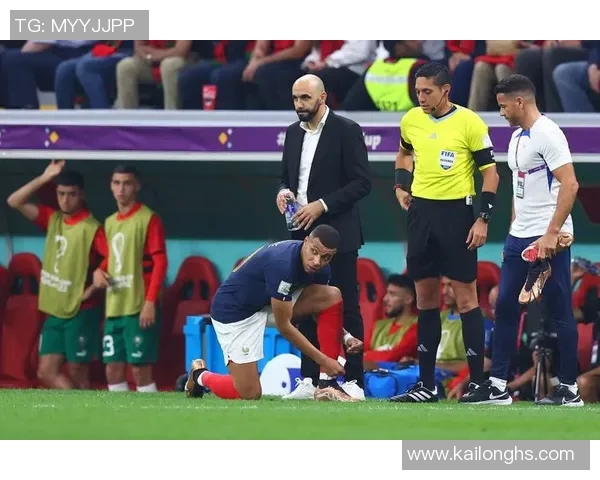 足球世界杯比赛中裁判误判对比赛影响